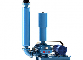 NSR豎式消音器型羅茨風(fēng)機(jī)羅茨真空泵